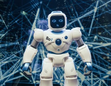 Electronic & Robotics Engineering – Advanced